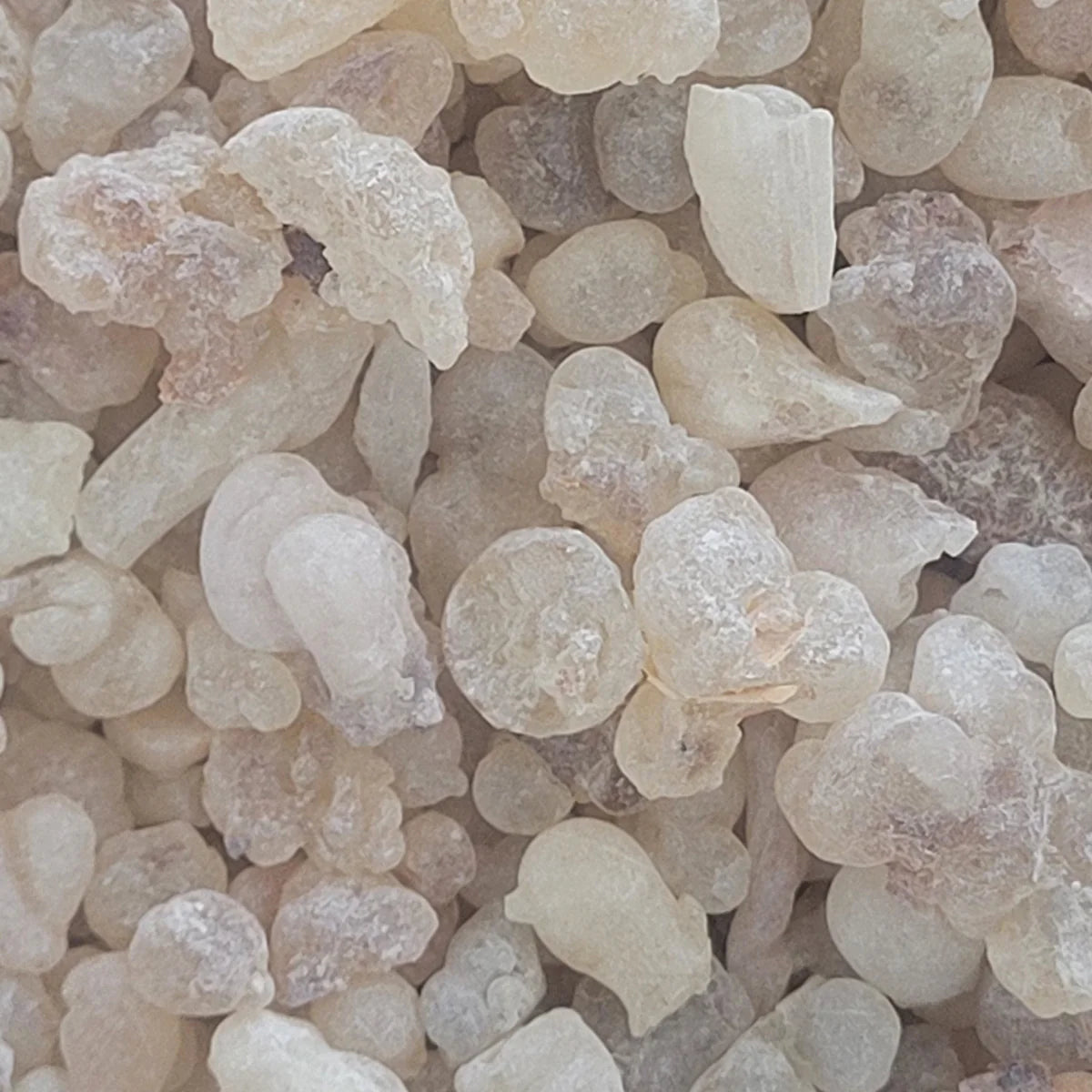 White Hojari Frankincense – High Grade (Boswellia Sacra)