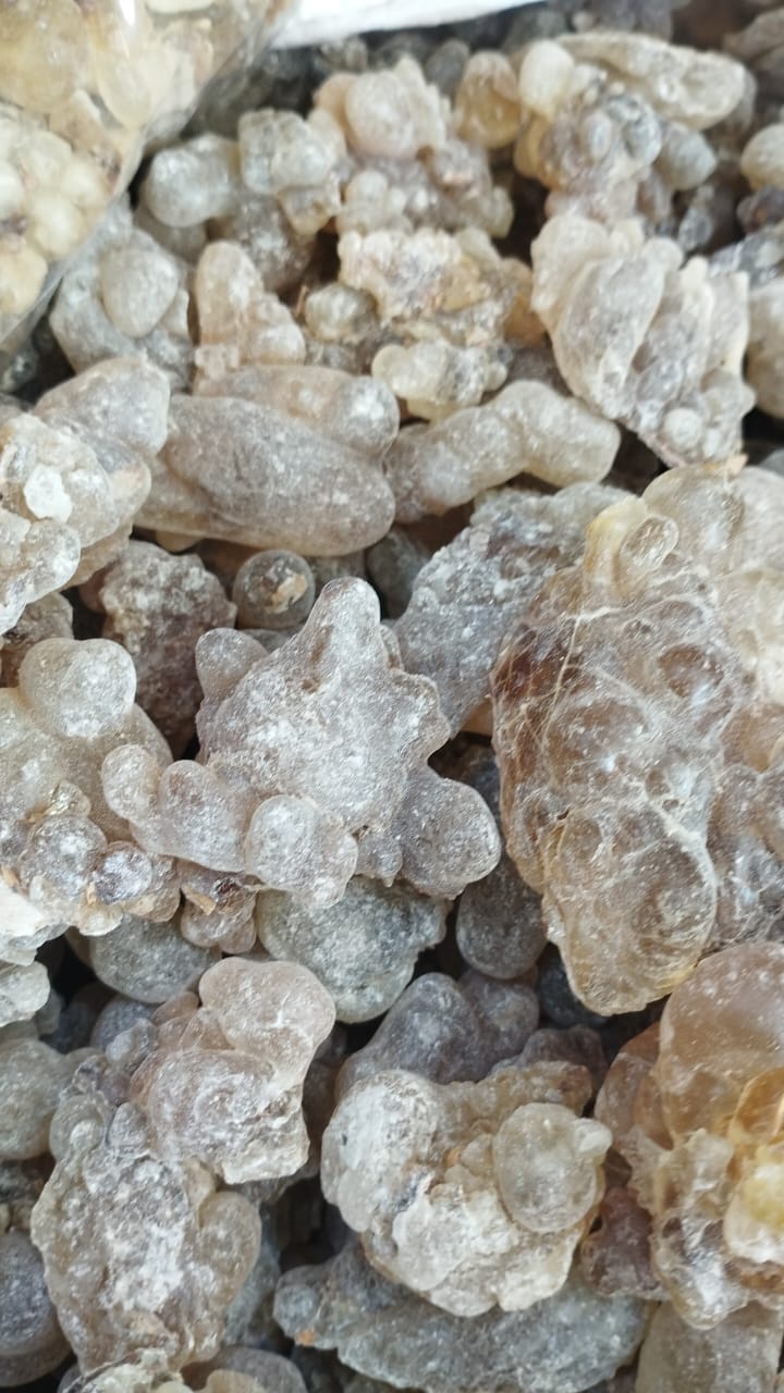 Brown Frankincense – Classic Grade (Boswellia Sacra)
