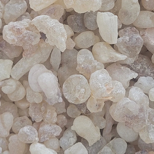 White Hojari Frankincense – High Grade (Boswellia Sacra)