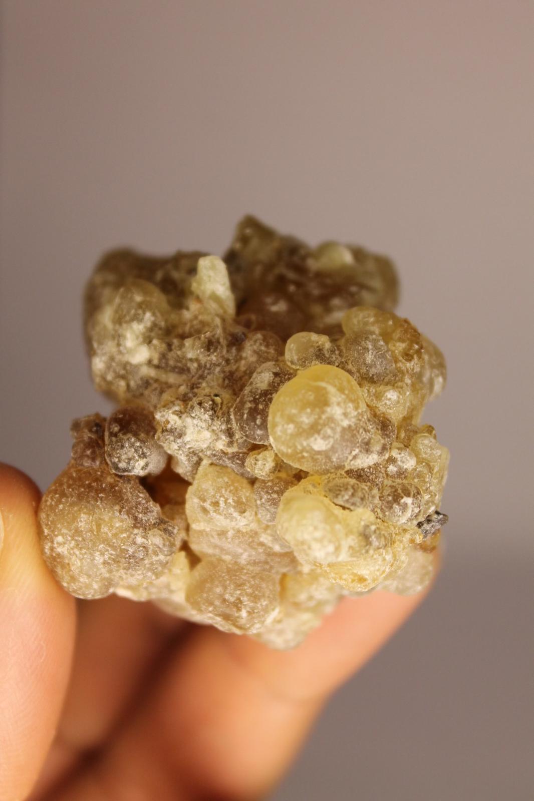 Brown Frankincense – Classic Grade (Boswellia Sacra)