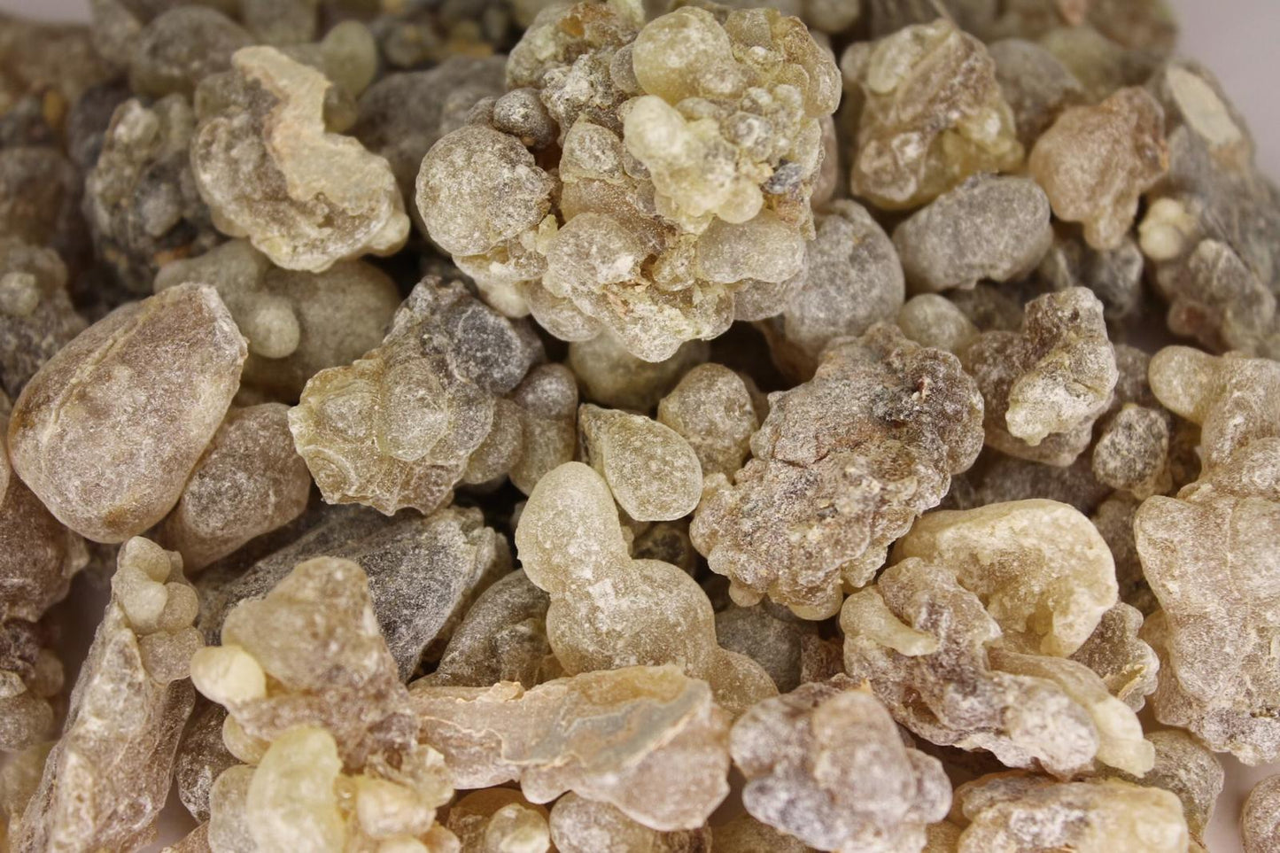 Brown Frankincense – Classic Grade (Boswellia Sacra)