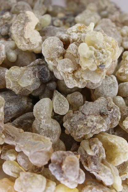 Brown Frankincense – Classic Grade (Boswellia Sacra)