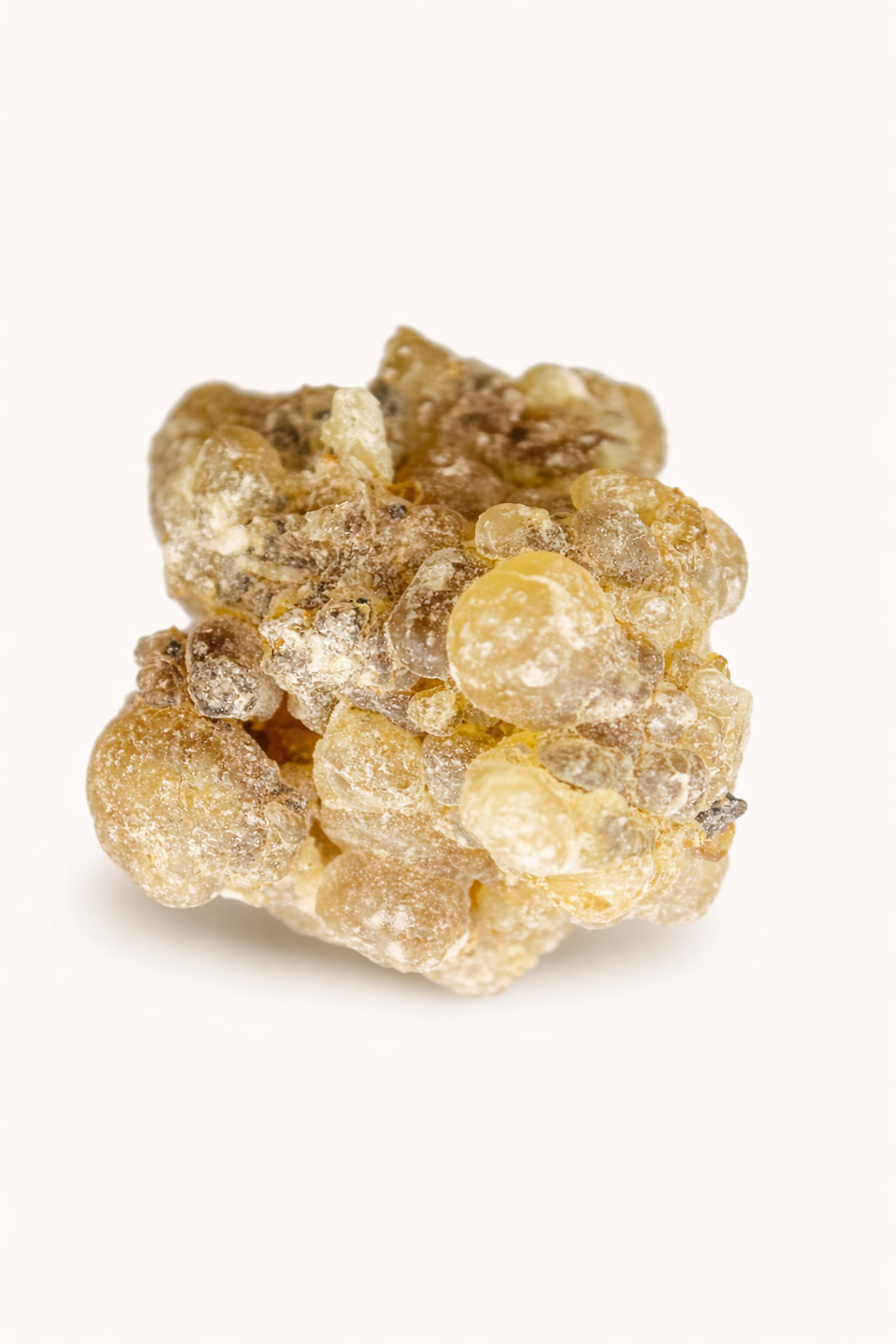 Brown Frankincense – Classic Grade (Boswellia Sacra)